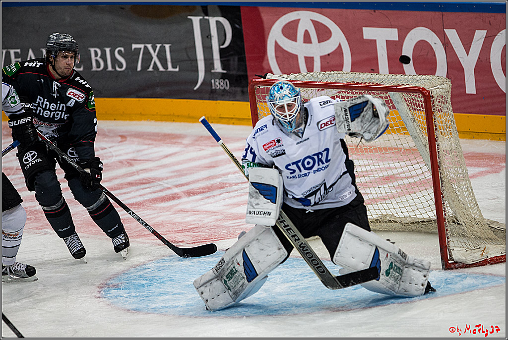 Koelner Haie - Schwenninger Wild Wings, 11.12.2016